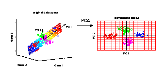 PCA - Principal Component Analysis